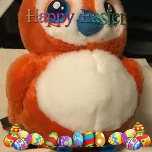 Meet your Posher, Kristy